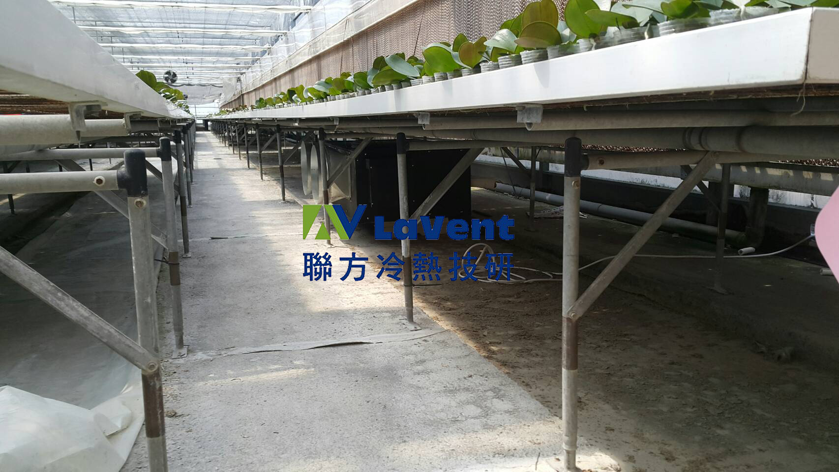 聯方冷熱技研 LaVent 溫室加溫 加熱 蘭花園 加熱 加溫器 冷卻 恆溫恆濕控制 溫室熱泵 台灣製造 Made in Taiwan