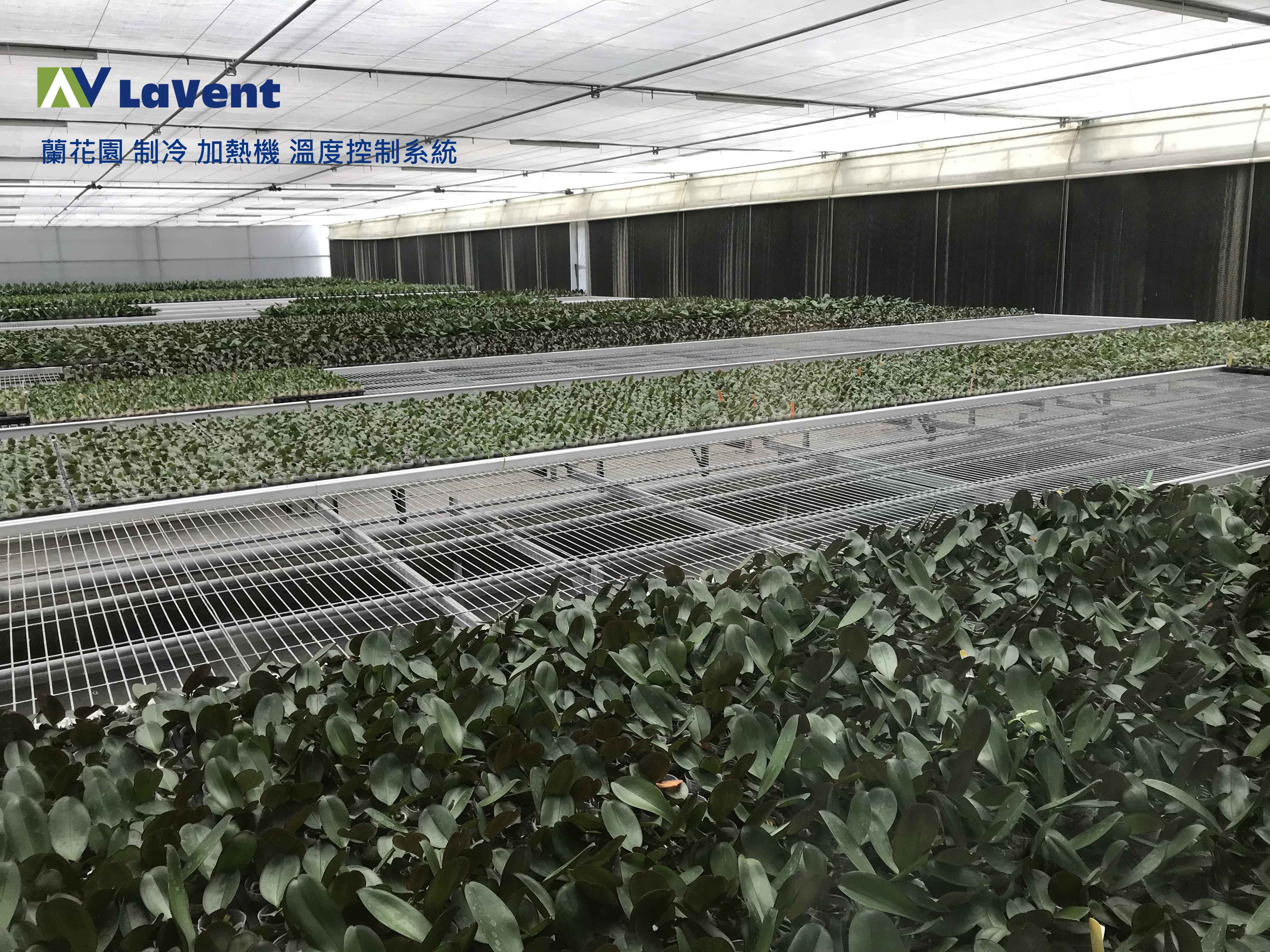 聯方冷熱技研 LaVent 溫室加溫 加熱 蘭花園 加熱 加溫器 冷卻 恆溫恆濕控制 溫室熱泵 台灣製造 Made in Taiwan